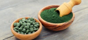Chlorella