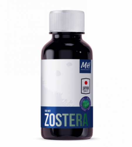 Zostera